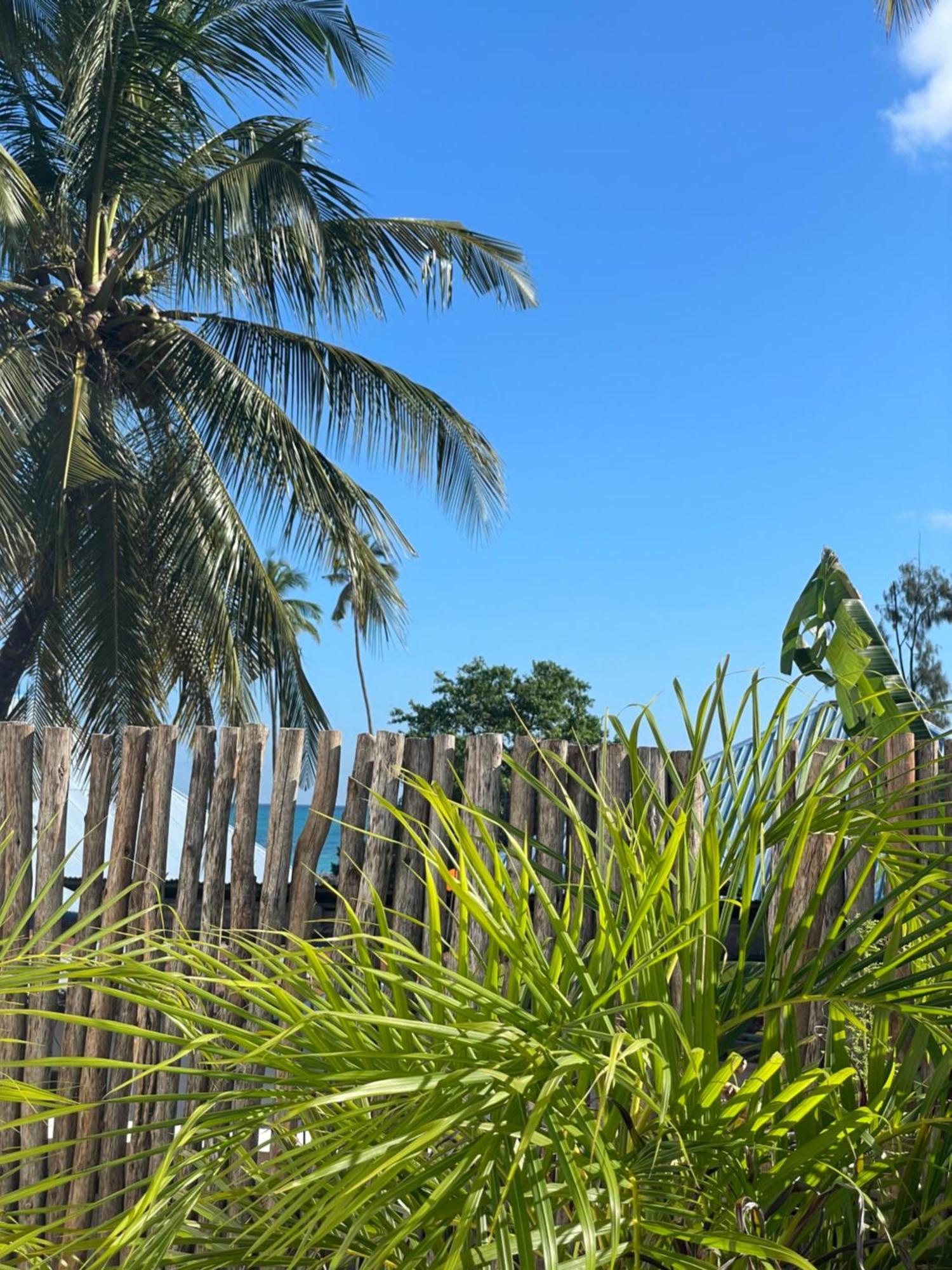 Maison Boheme Bed & Breakfast Nungwi Luaran gambar